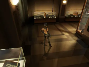 Catwoman (USA) screen shot game playing